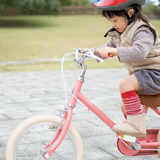 <span>little tokyobike</span> <span>発売</span>